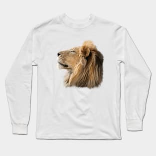 Löwe Long Sleeve T-Shirt